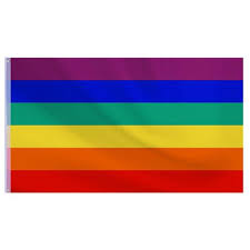 Regenbogenflagge kaufen im www ist eine feine chose. Regenbogen Flagge 250 X 150 Cm 10 99