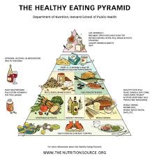 diet analysis