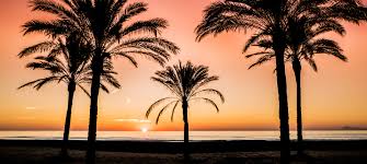 El chalet ligt aan het strand los olivos de cullera en beschikt over kamers met een balkon met uitzicht op de middellandse zee. Costa De Valencia Was Sie Besichtigen Sollten Und Die Besten Tipps Spain Info Auf Deutsch