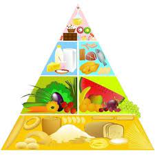 Cooking Healthy With Kids Learnist Food Pyramid Food Pyramid Kids Pyramids