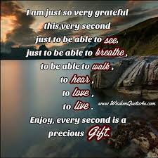  Enjoy Every Second Is A Precious Gift Wisdom Quotes Precious Gifts Gratitude Quotes Wisdom Quotes