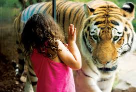 Americas First Zoo | History in the Making – Philadelphia Zoo