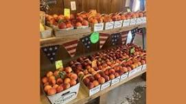 Jackson's Orchard - 4th of July Celebration!