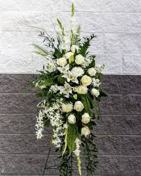 7,998 likes · 79 talking about this · 510 were here. Standing Spray In Ft Collins Co Palmer Flowers