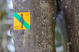 See what dana dattelbaum (dattelbaum) has discovered on pinterest, the world's biggest collection of ideas. Lehrpfad Wald Les Nationalparks Bohmerwald