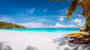 Cara mengubah background zoom di hp, meeting jadi lebih keren. Zoom Virtual Background Beach Video Novocom Top