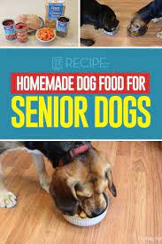 Recipe Homemade Food For Senior Dogs Dog Food Recipes Senior Dog Food Recipes Make Dog Food