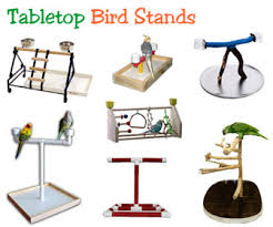 Bird tables provide you with the opportunity to both support wildlife and decorate your garden. Perch Factory Table Top Bird Perch Stands For Parrots