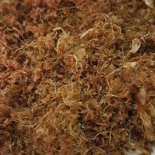 Cara membuat serunding kelapa| grated coconut serunding daging,serunding halia,serunding resepi serunding ikan bahan bahan step 1: Layan Serunding Halia Homemade Makanan Berpantang Paling Sedap Keluarga