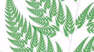 The example given was barnsley's fern, and how a simple set of rules, along with an element of randomness, can produce incredibly beautiful and complex designs. Barnsley Fern Infinite Zoom Self Similar Fractal Fern Youtube