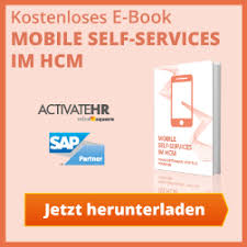 Prime factorization using sieve o(log n) for multiple queries. Die Sap Hr Hcm Berater