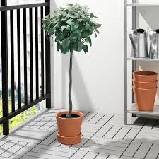 In addition, the package comes with 10 trays for your plant pots so that water will not leak from the bottom to mass. Ingefara Plant Pot With Saucer Outdoor Indoor Outdoor Terracotta 6 Ikea