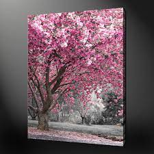 4.3 out of 5 stars 38. Pink Blossom Premium Modern Canvas Picture Wall Art Modern Design Free Uk P P Cherry Blossom Painting Canvas Picture Walls Blossoms Art