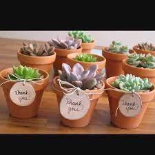 Succulent Party Favor Giveaway Wedding Gifts For Guests Diy Teacher Gifts Diy Wedding Gifts