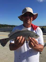 Pawley S Island 16 Inch Red Drum 2018 Fish Southgate Island