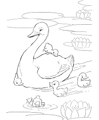 Daffy Duck Coloring Pages Farm Animal Coloring Pages Animal Coloring Pages Bird Coloring Pages
