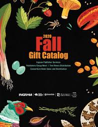 Ingram Fall 2020 By Syinc Issuu