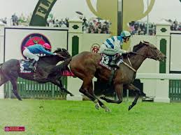 Episode 507: Scott Seamer remembers his golden group 1 run of early 2000's  — JOHN TAPP RACING