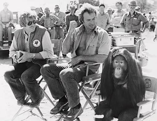 CLINT EASTWOOD in EVERY WHICH WAY BUT LOOSE -1978-. by Album