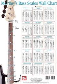 free pdf bass scale wall chart download