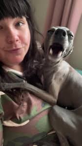 Hilarious Italian Greyhound Impressions of Mariah Carey