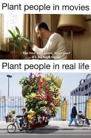 Plant People Plants Plant Lady Plant Life