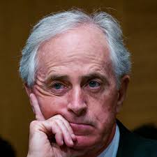 Conservative faction doesn't want Corker to run