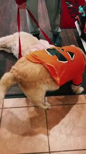 Maybe you would like to learn more about one of these? The Family Pet Hospital Home Facebook