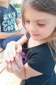 Casey Weddle's Instagram, Twitter & Facebook