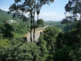 Kinabalu park established as national park of malaysia in 1964. National Park Malaysia Review Of Taman Negara National Park Pahang Malaysia Tripadvisor
