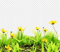 Hannah rampley is a textile & surface pattern designer, illustrator and wall mural painter based in edinburgh, uk. Meadow Flowers Png Images Pngwing