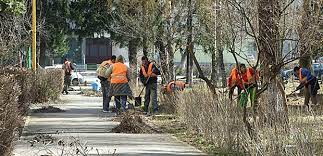 Procurorul a recomandat două săptămâni de muncă în o palma sanatoasa, poate putina munca în folosul comunitatii, și plecam toți acasă. In Ce Cazuri Persoana Condamnata Care Presteaza Munca Neremunerata In Folosul Comunitatii Poate Formula Plangere Sau Dimpotriva Este Judecata Pentru A Se Revoca Acest Beneficiu Avocat Bucuresti