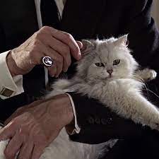 He is an evil and knowledgeable criminal mastermind and the archenemy of james bond. Blofeld Classic Film Continuity James Bond Wiki Fandom