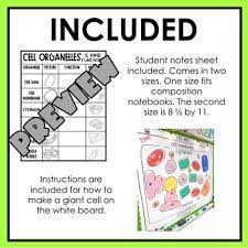Maybe you would like to learn more about one of these? What Are The 8 Organelles And Their Functions