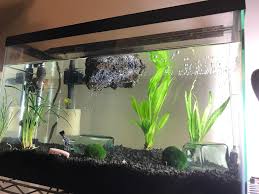 Our professionals give expert advice on how you can best upkeep your fish tank. Not Exactly What I Intended But I Guess I Have A Floating Island Now Aquariums