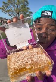 Discover the Sweetness of Raw Honeycomb