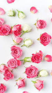 Pin On Spring