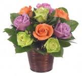 One rainbow flower pot is received from alice several days after the player completes the big flower sale. Olney S Flower Pot 2002 N James St Rome Ny Landscaping Services Landscape Contractors Building Contractors Florists 315 339 6000