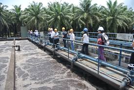 Oil m sdn bhd companies. Transforming Sustainable Oil Palm Research Into Reality Unm Campus News