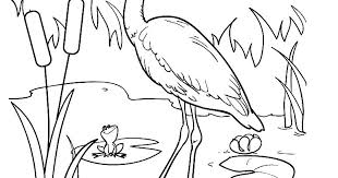 Download gambar sketsa burung untuk mozaik. 30 Gambar Burung Pelikan Kartun Kumpulan Gambar Kartun