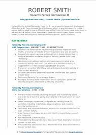 security forces journeyman resume