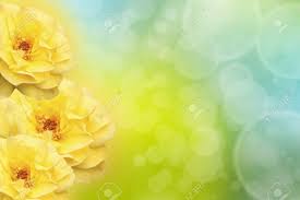 Beautiful Background With Yellow Roses Stock Photo Picture And Royalty Free Image Image 15152252 Browse and download the best free stock yellow images. beautiful background with yellow roses