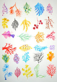 At artranked.com find thousands of paintings categorized into thousands of categories. Reef Collection Coral Reef