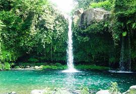 Curug lawe berada di kawasan gunung ungaran, semarang. Pesona Keindahan Destinasi Wisata Curug Tempuran Di Bojongsari Purbalingga Jawa Tengah Ihategreenjello