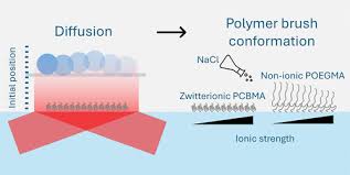 A Total Internal Reflection Microscopy (TIRM)-Based Approach for Direct  Characterization of Polymer Brush Conformational Change in Aqueous Solution 