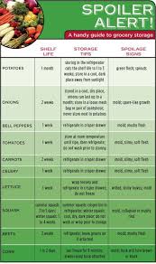 spoiler chart for vegetables how long they keep and where