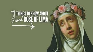 7 Things to Know About the Beautiful Saint Rose of Lima, Patroness of Latin  America