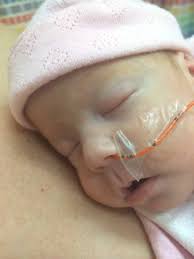 NICU Life: Week 7 & 8