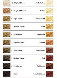 How To Bleach Hair Brassy Hair Bleached Hair Bleaching Your Hair