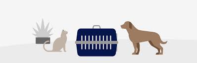 The ups store is your shipping resource. Travelling With Animals Lufthansa